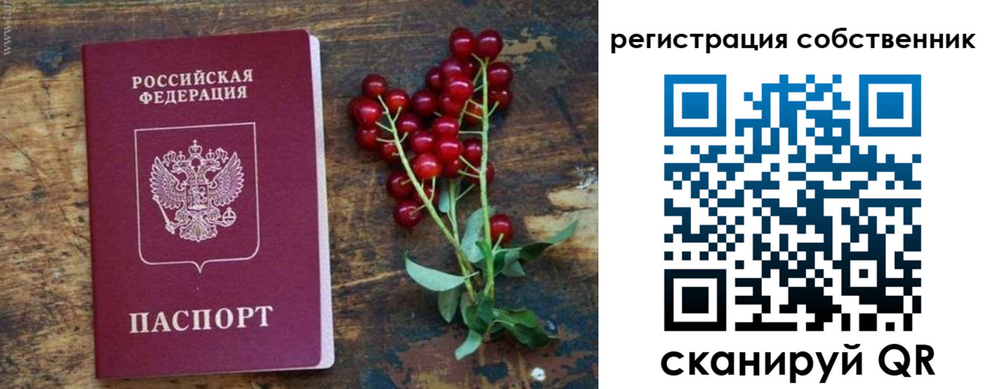 регистрация для дет. сада в Сухом Логе